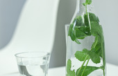 Dr. Christian Dinse ( Holbeinstraße 1 )